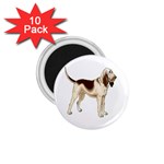 Bloodhound 1.75  Magnet (10 pack) 