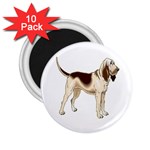 Bloodhound 2.25  Magnet (10 pack)