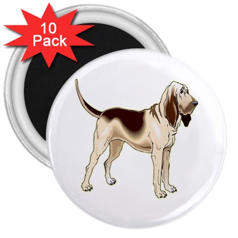 Bloodhound 3  Magnet (10 pack) from ArtsNow.com Front