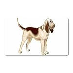 Bloodhound Magnet (Rectangular)