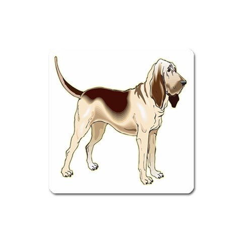 Bloodhound Magnet (Square) from ArtsNow.com Front