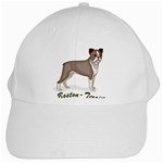 Boston Terrier White Cap