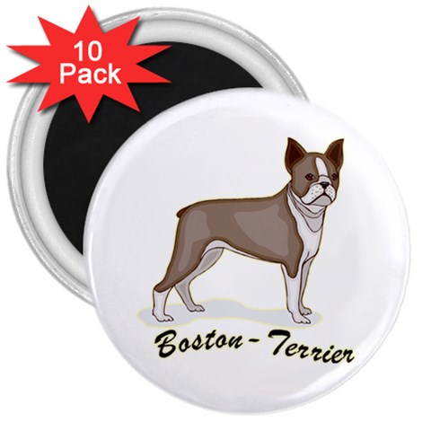 Boston Terrier 3  Magnet (10 pack) from ArtsNow.com Front