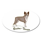 Boston Terrier Magnet (Oval)