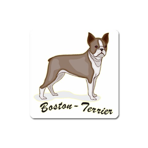 Boston Terrier Magnet (Square) from ArtsNow.com Front