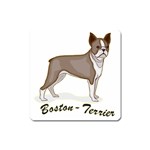 Boston Terrier Magnet (Square)