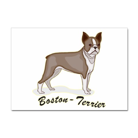 Boston Terrier Sticker A4 (10 pack) from ArtsNow.com Front