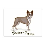 Boston Terrier Sticker A4 (10 pack)