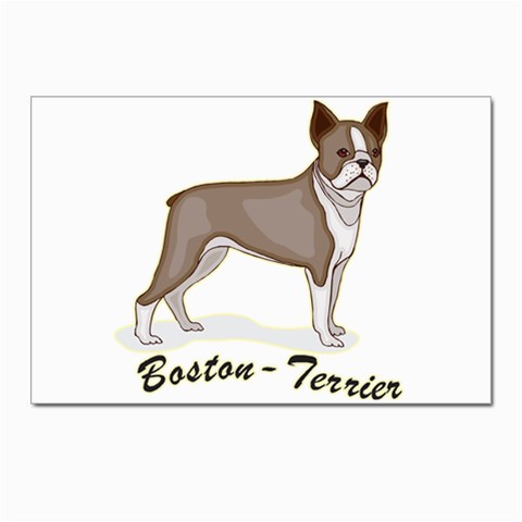 Boston Terrier Postcard 4 x 6  (Pkg of 10) from ArtsNow.com Front