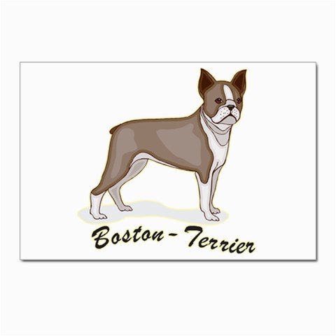 Boston Terrier Postcards 5  x 7  (Pkg of 10) from ArtsNow.com Front