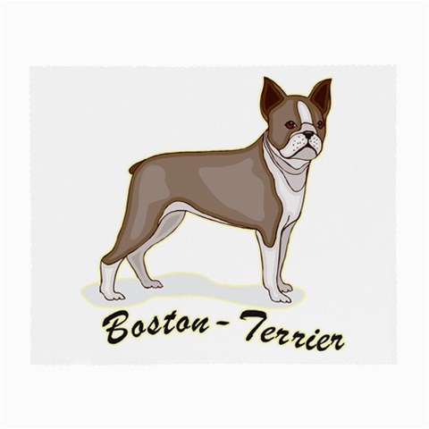 Boston Terrier Glasses Cloth from ArtsNow.com Front