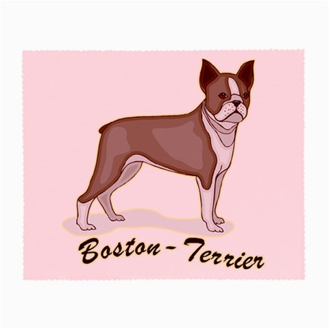 Boston Terrier Glasses Cloth from ArtsNow.com Front