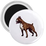 Boxer 3  Magnet