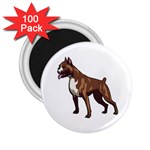 Boxer 2.25  Magnet (100 pack) 