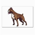 Boxer Postcard 4 x 6  (Pkg of 10)