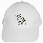 Chihuahua White Cap