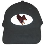 Dachshund Black Cap