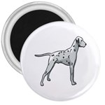 Dalmation 3  Magnet