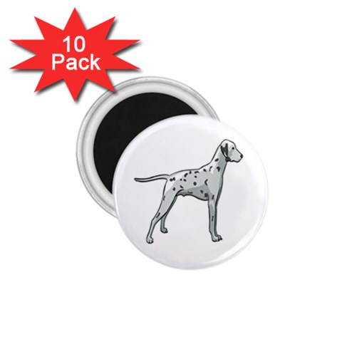 Dalmation 1.75  Magnet (10 pack)  from ArtsNow.com Front