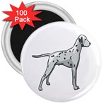 Dalmation 3  Magnet (100 pack)