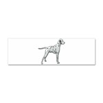 Dalmation Sticker (Bumper)