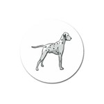 Dalmation Magnet 3  (Round)