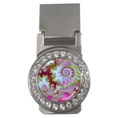 Raspberry Lime Delight, Abstract Ferris Wheel Money Clip (CZ) from ArtsNow.com Front