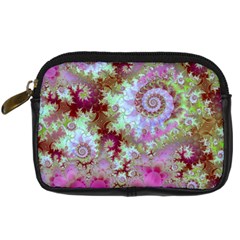 Raspberry Lime Delight, Abstract Ferris Wheel Digital Camera Leather Case from ArtsNow.com Front