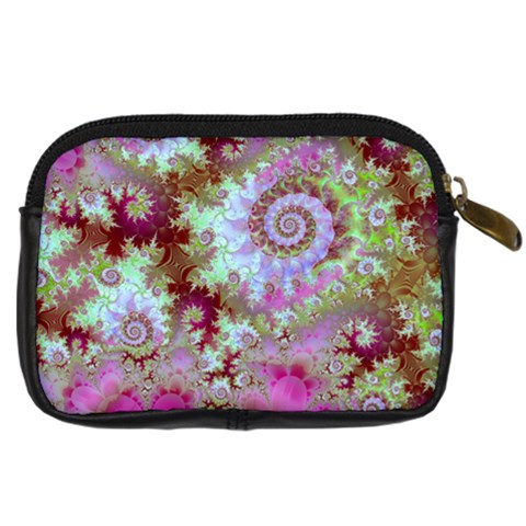 Raspberry Lime Delight, Abstract Ferris Wheel Digital Camera Leather Case from ArtsNow.com Back