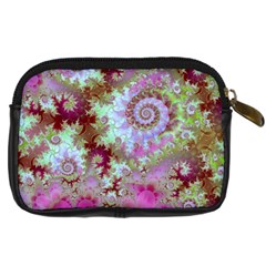 Raspberry Lime Delight, Abstract Ferris Wheel Digital Camera Leather Case from ArtsNow.com Back