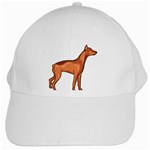 Doberman White Cap