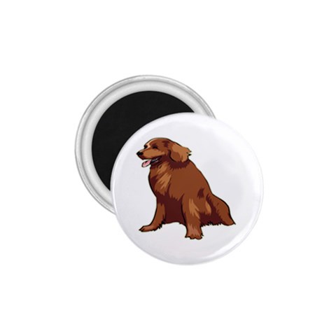 Irish Setter 1.75  Magnet from ArtsNow.com Front