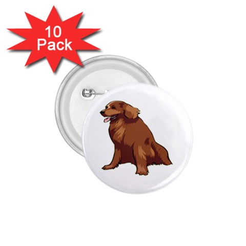 Irish Setter 1.75  Button (10 pack)  from ArtsNow.com Front