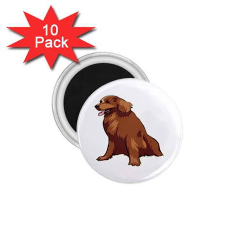 Irish Setter 1.75  Magnet (10 pack)  from ArtsNow.com Front