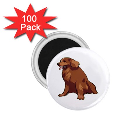 Irish Setter 1.75  Magnet (100 pack)  from ArtsNow.com Front