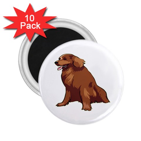 Irish Setter 2.25  Magnet (10 pack) from ArtsNow.com Front