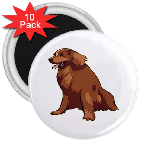 Irish Setter 3  Magnet (10 pack) from ArtsNow.com Front