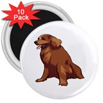 Irish Setter 3  Magnet (10 pack)