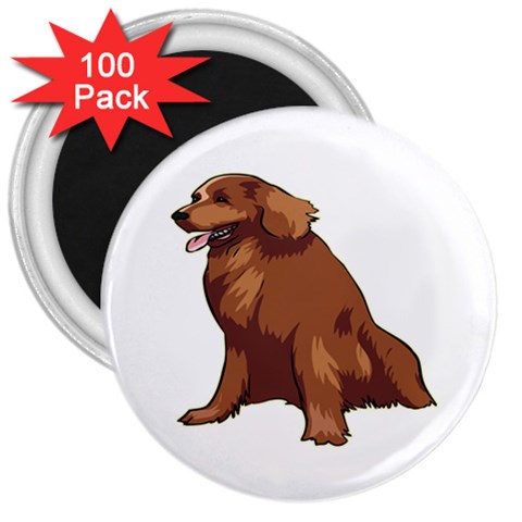 Irish Setter 3  Magnet (100 pack) from ArtsNow.com Front