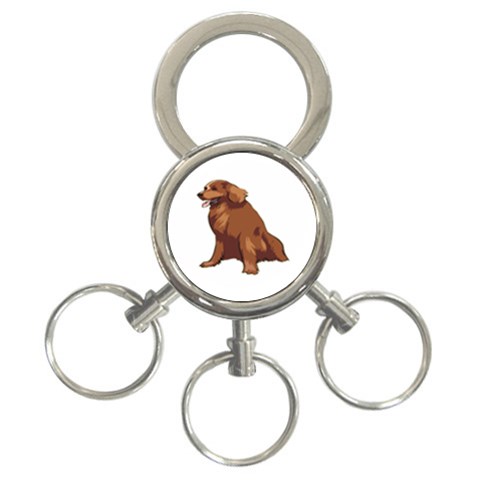 Irish Setter 3 Front