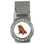 Irish Setter Money Clip (CZ)