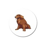 Irish Setter Magnet 3  (Round)