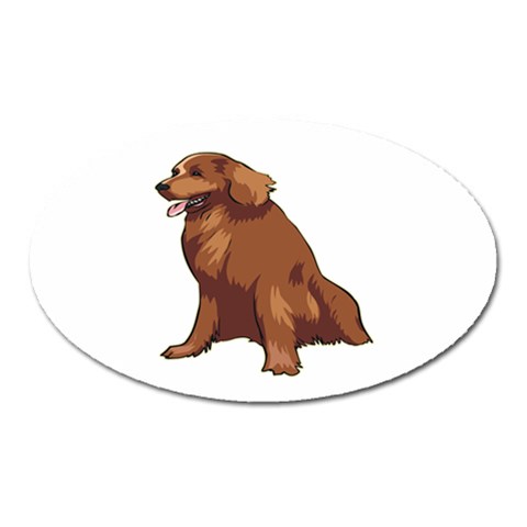 Irish Setter Magnet (Oval) from ArtsNow.com Front