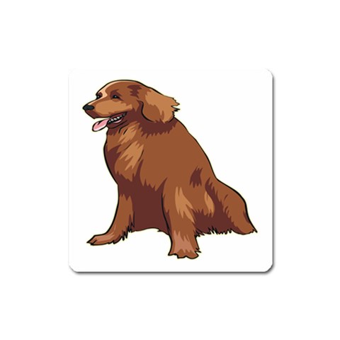 Irish Setter Magnet (Square) from ArtsNow.com Front