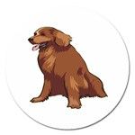 Irish Setter Magnet 5  (Round)