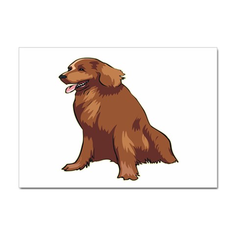 Irish Setter Sticker A4 (10 pack) from ArtsNow.com Front