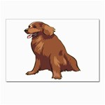 Irish Setter Postcard 4  x 6 