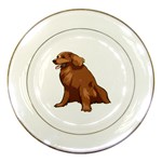 Irish Setter Porcelain Plate