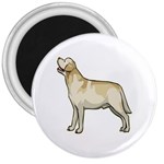 Labrador Retriever 3  Magnet