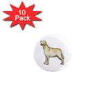 Labrador Retriever 1  Mini Magnet (10 pack) 